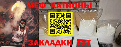 индика Славгород