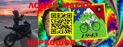 индика Славгород