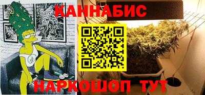 индика Славгород