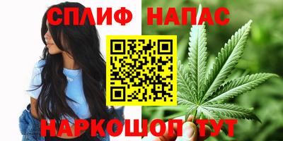 индика Славгород