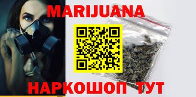 индика Славгород
