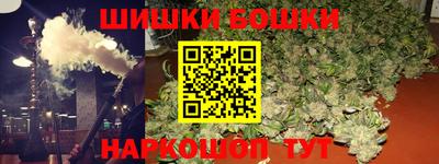 индика Славгород