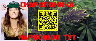 индика Славгород