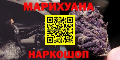 индика Славгород