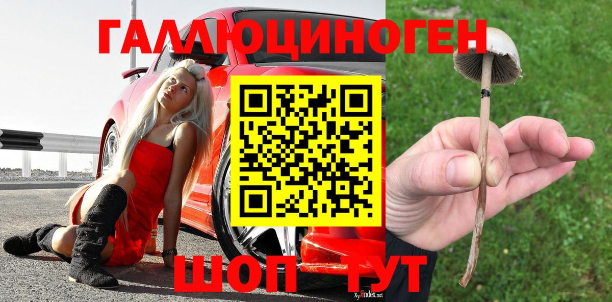 Рославль  Галлюциногенные грибы Magic Shrooms  Вход с VPN 